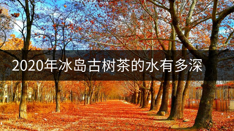 2020年冰島古樹茶的水有多深？別被蒙在鼓里啦-易武中聘號(hào)