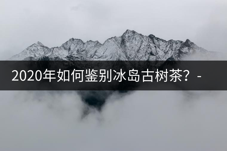 2020年如何鑒別冰島古樹茶？-易武中聘號