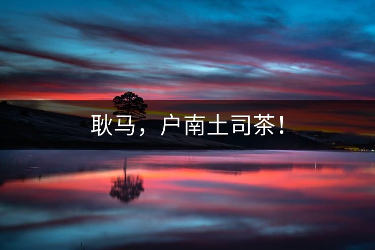 耿馬，戶南土司茶！