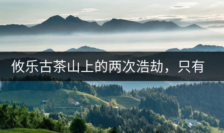 攸樂古茶山上的兩次浩劫，只有絕少部分的茶人解內(nèi)情