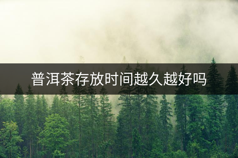 普洱茶存放時(shí)間越久越好嗎