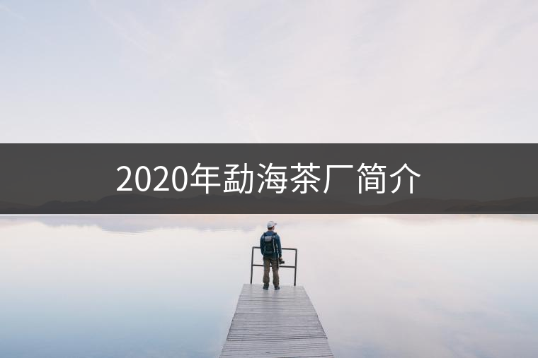 2020年勐海茶廠簡介