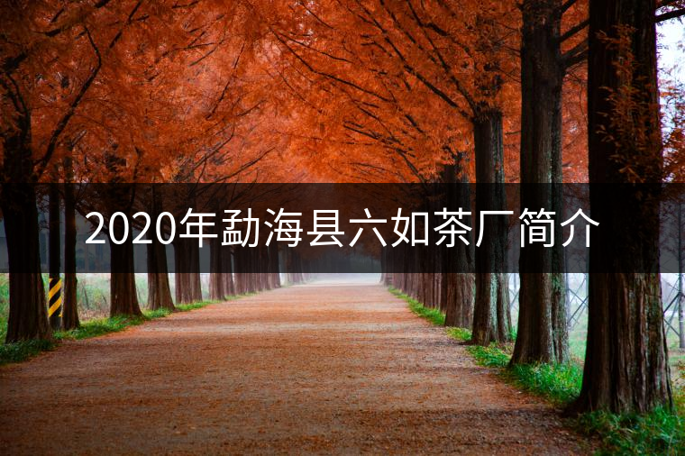 2020年勐?？h六如茶廠簡(jiǎn)介