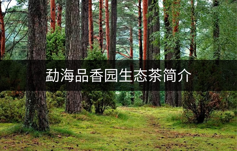 勐海品香園生態(tài)茶簡(jiǎn)介 勐海品香園生態(tài)茶簡(jiǎn)介