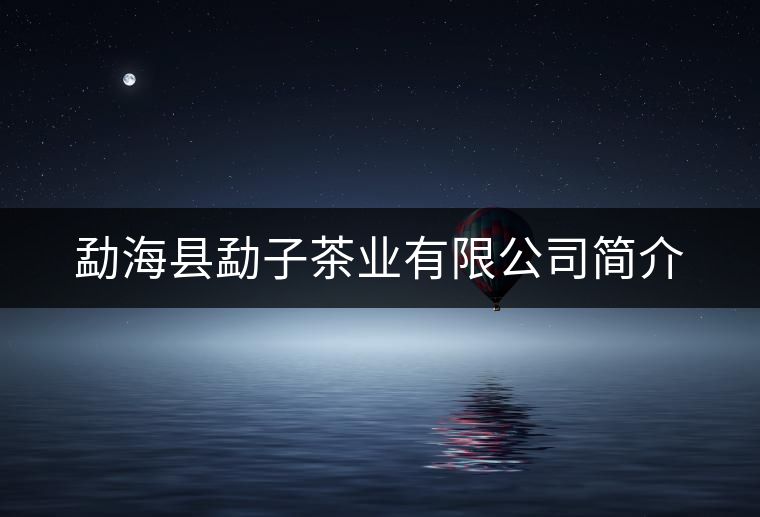 勐?？h勐子茶業(yè)有限公司簡介