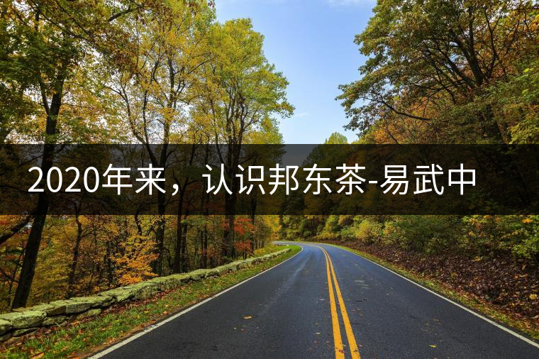 2020年來，認(rèn)識邦東茶-易武中聘號