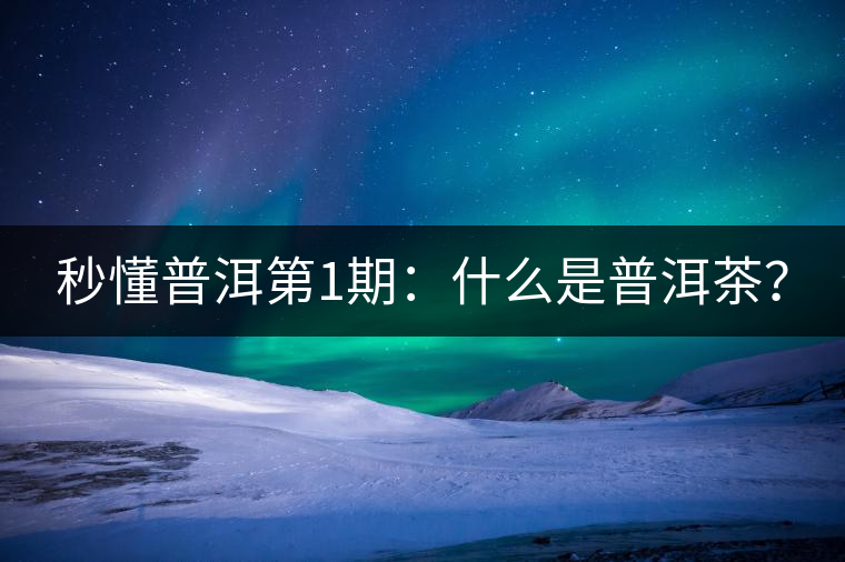 秒懂普洱第1期：什么是普洱茶？