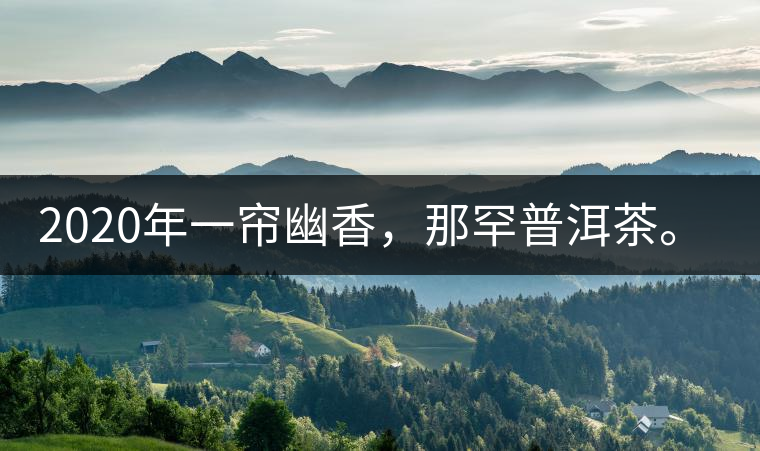 2020年一簾幽香，那罕普洱茶。-易武中聘號(hào)