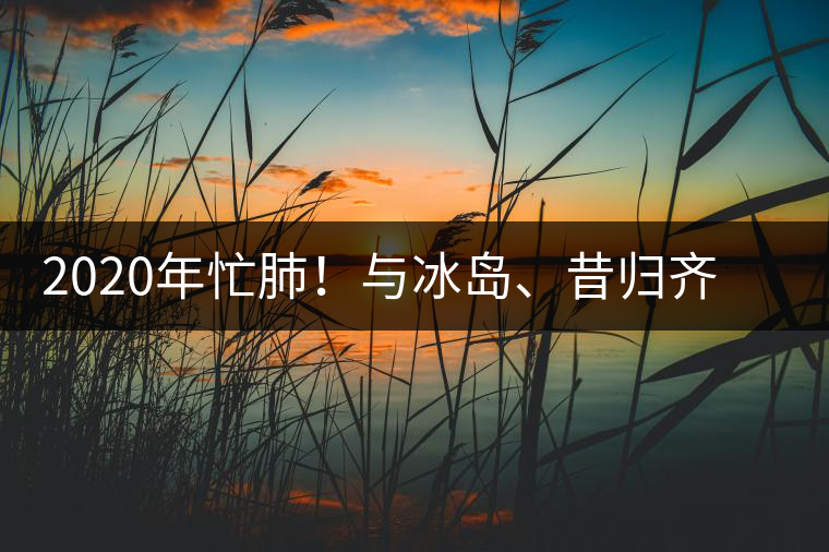 2020年忙肺！與冰島、昔歸齊名的普洱茶，到底是什么味道？-易武中聘號