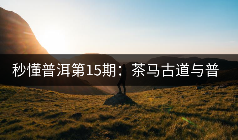 秒懂普洱第15期：茶馬古道與普洱茶有什么聯(lián)系？