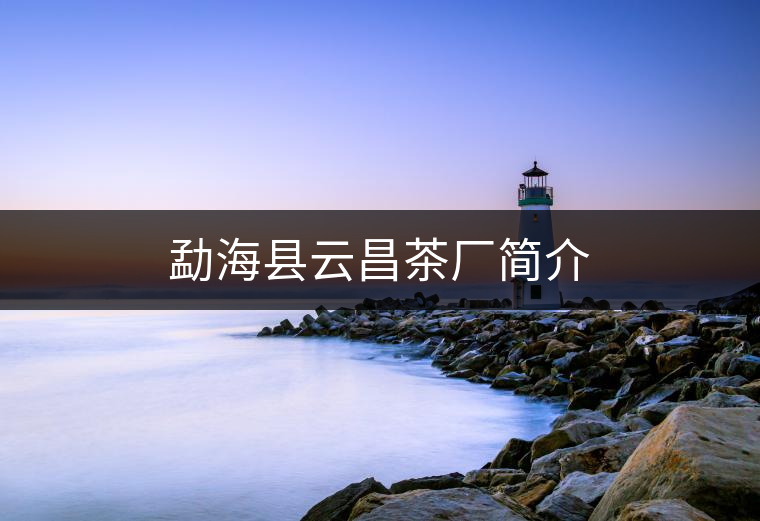 勐?？h云昌茶廠簡介