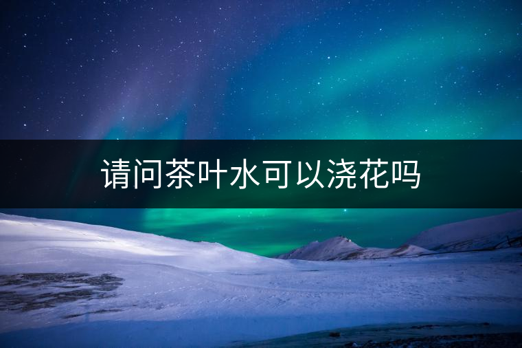 請(qǐng)問(wèn)茶葉水可以澆花嗎