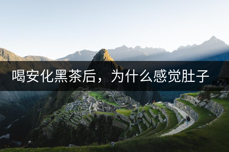 喝安化黑茶后，為什么感覺(jué)肚子餓的快？