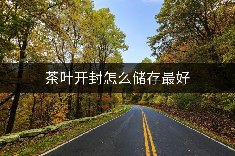 茶葉開封怎么儲(chǔ)存最好