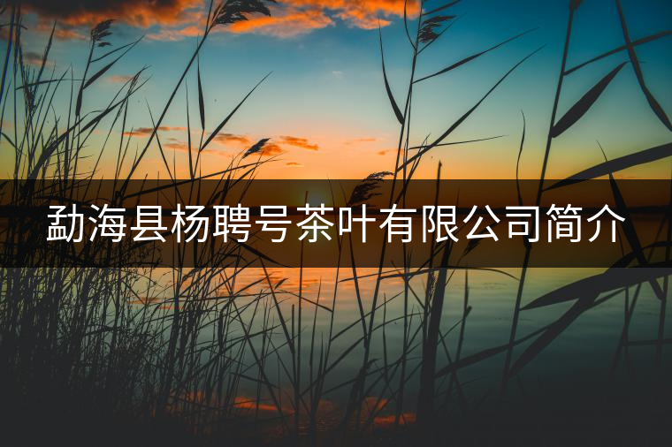 勐?？h楊聘號(hào)茶葉有限公司簡(jiǎn)介