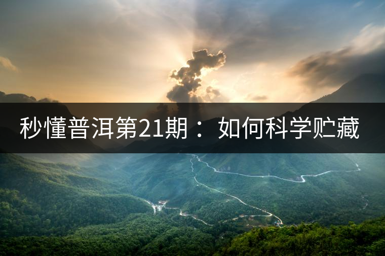秒懂普洱第21期 ：如何科學(xué)貯藏普洱茶？