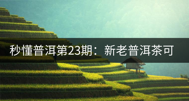 秒懂普洱第23期：新老普洱茶可以放到一起嗎？