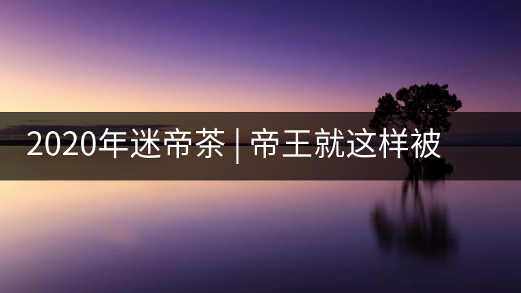 2020年迷帝茶 | 帝王就這樣被迷住了？-易武中聘號(hào)