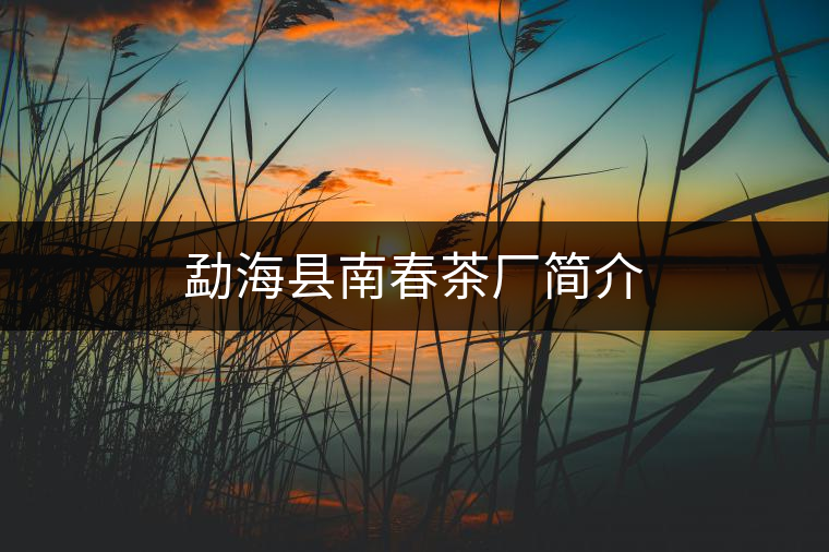 勐??h南春茶廠簡(jiǎn)介 勐海縣南春茶廠簡(jiǎn)介
