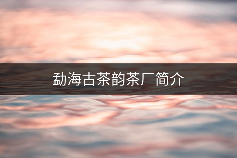 勐海古茶韻茶廠簡(jiǎn)介 勐海古茶韻茶廠簡(jiǎn)介