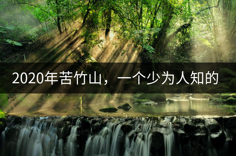 2020年苦竹山，一個(gè)少為人知的后起之秀！-易武中聘號(hào)