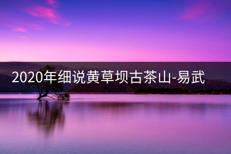 2020年細說黃草壩古茶山-易武中聘號