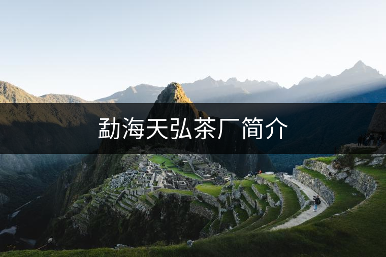 勐海天弘茶廠簡(jiǎn)介