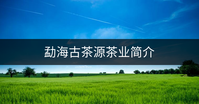 勐海古茶源茶業(yè)簡(jiǎn)介 勐海古茶源茶業(yè)簡(jiǎn)介