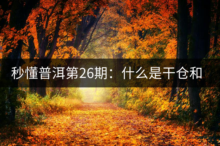 秒懂普洱第26期：什么是干倉和濕倉？