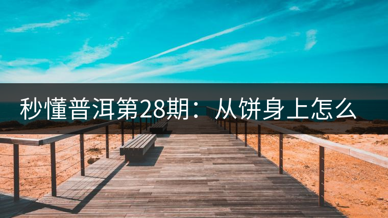 秒懂普洱第28期：從餅身上怎么辨識干倉與濕倉 普洱茶？