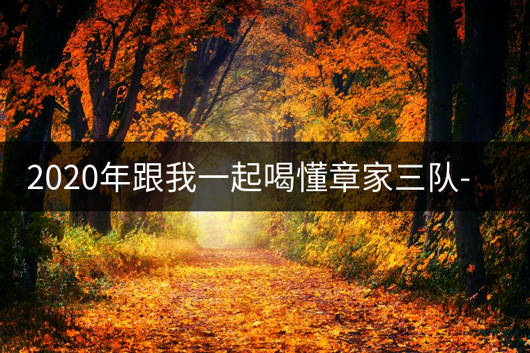 2020年跟我一起喝懂章家三隊(duì)-易武中聘號(hào) 2020年跟我一起喝懂章家三隊(duì)-易武中聘號(hào)