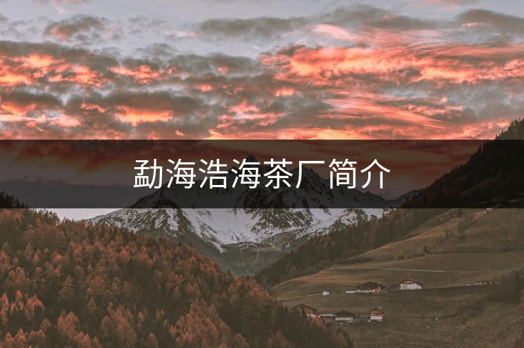 勐海浩海茶廠簡介