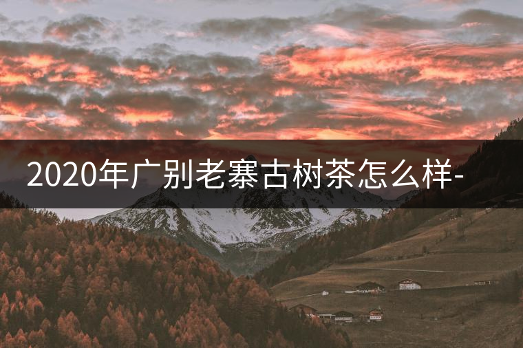 2020年廣別老寨古樹茶怎么樣-易武中聘號(hào) 2020年廣別老寨古樹茶怎么樣-易武中聘號(hào)