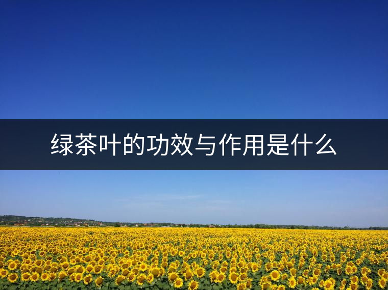 綠茶葉的功效與作用是什么