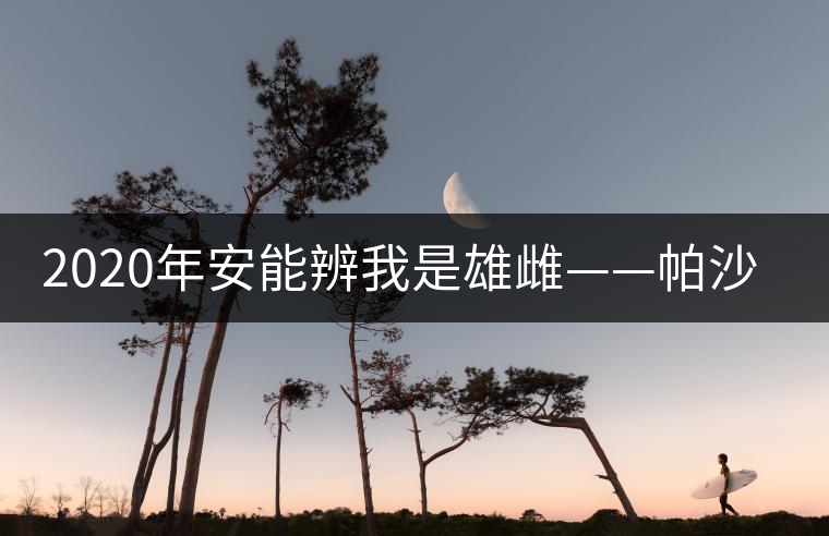 2020年安能辨我是雄雌——帕沙古樹(shù)茶-易武中聘號(hào) 2020年安能辨我是雄雌——帕沙古樹(shù)茶-易武中聘號(hào)
