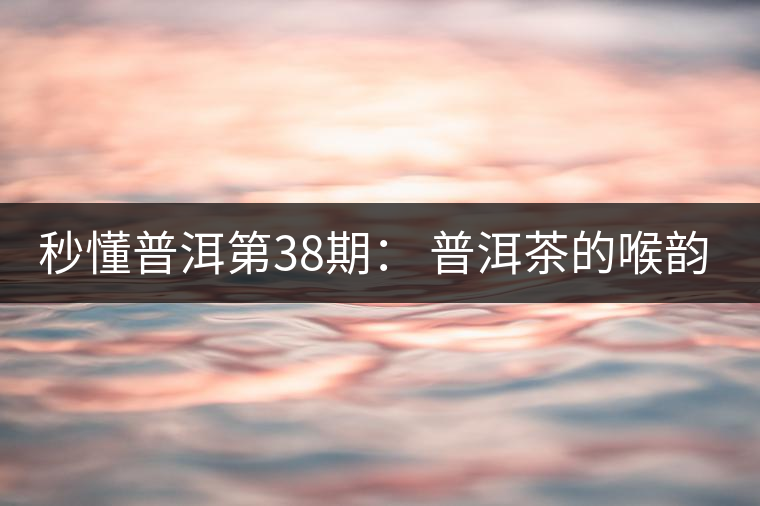 秒懂普洱第38期： 普洱茶的喉韻是什么？