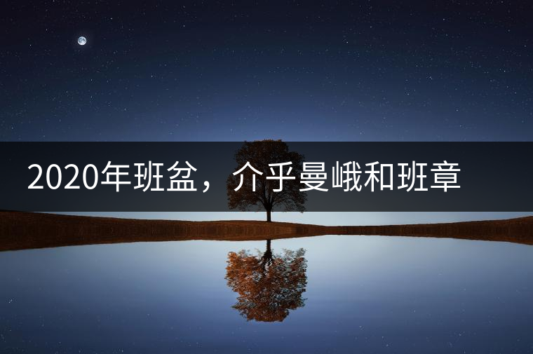 2020年班盆，介乎曼峨和班章間的“老漢子”-易武中聘號