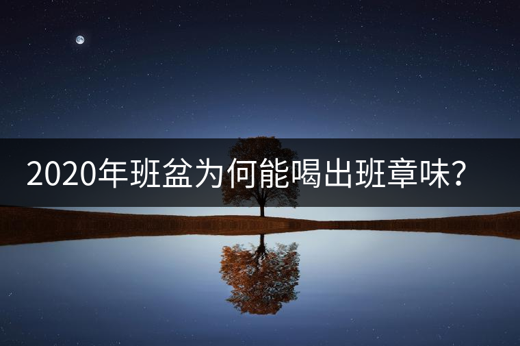 2020年班盆為何能喝出班章味？-易武中聘號
