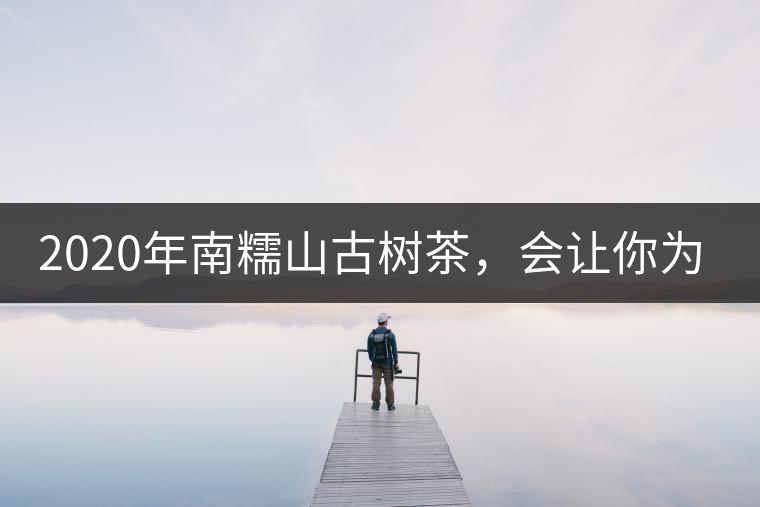 2020年南糯山古樹茶，會(huì)讓你為之著迷-易武中聘號(hào)