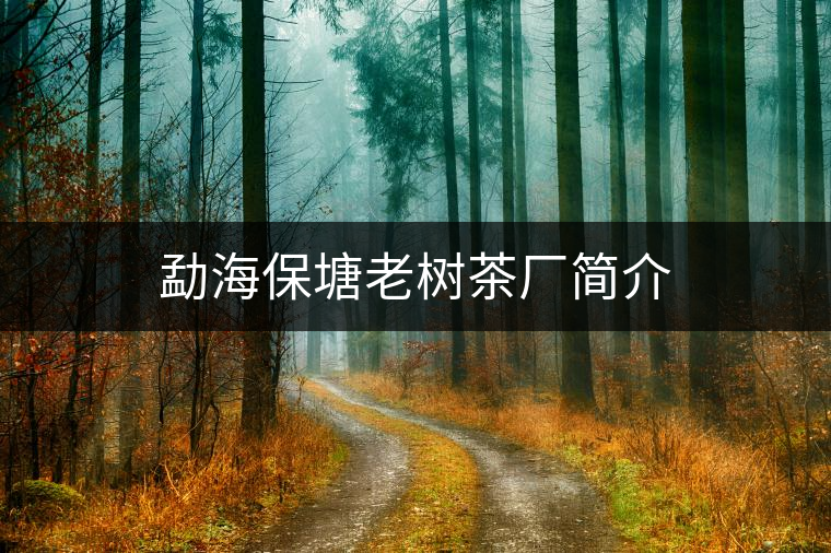 勐海保塘老樹茶廠簡(jiǎn)介 勐海保塘老樹茶廠簡(jiǎn)介