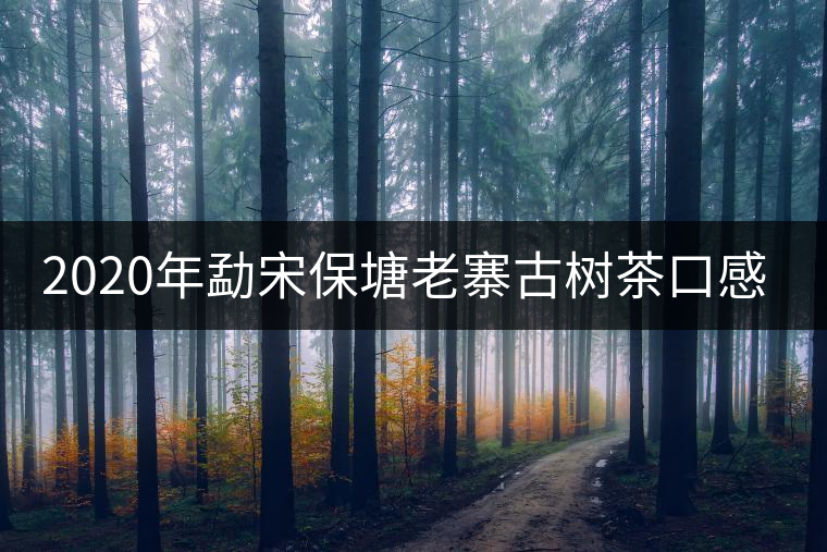2020年勐宋保塘老寨古樹茶口感-易武中聘號(hào)