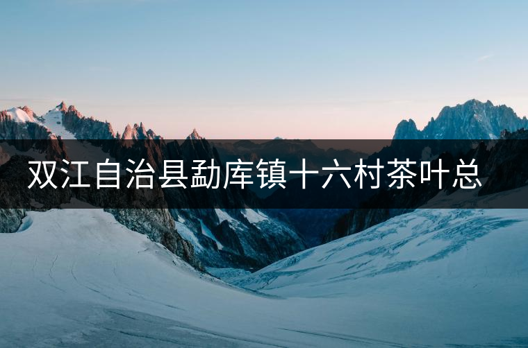 雙江自治縣勐庫(kù)鎮(zhèn)十六村茶葉總匯元夢(mèng)茶廠簡(jiǎn)介 雙江自治縣勐庫(kù)鎮(zhèn)十六村茶葉總匯元夢(mèng)茶廠簡(jiǎn)介