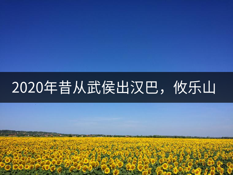 2020年昔從武侯出漢巴，攸樂山中只種茶。-易武中聘號