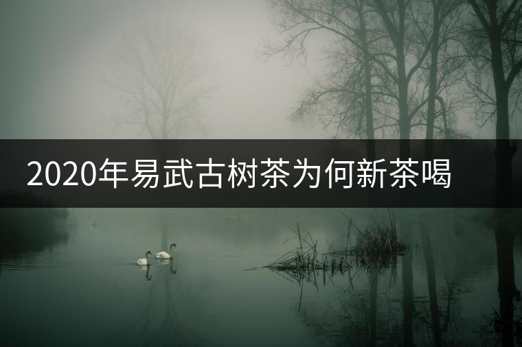 2020年易武古樹茶為何新茶喝時(shí)淡卻越放越濃？-易武中聘號(hào)