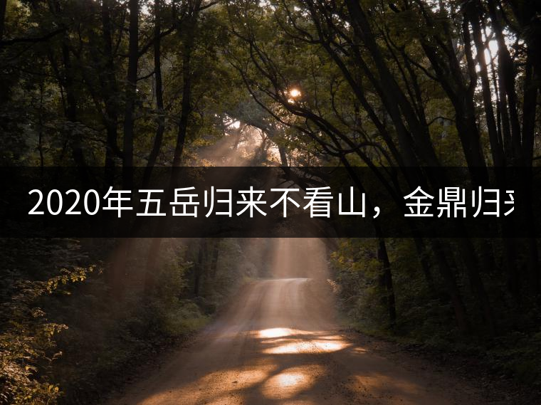 2020年五岳歸來不看山，金鼎歸來不看茶   -易武中聘號