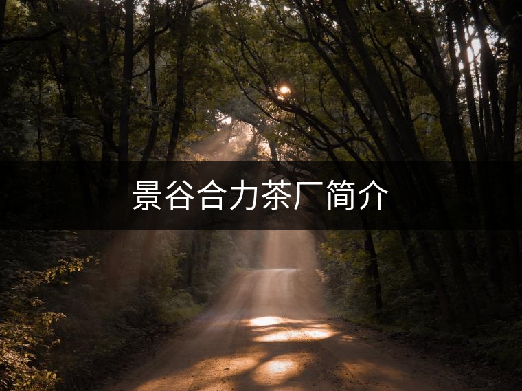 景谷合力茶廠簡介 景谷合力茶廠簡介