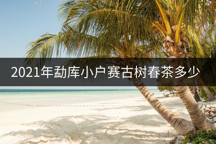 2021年勐庫小戶賽古樹春茶多少錢一公斤？