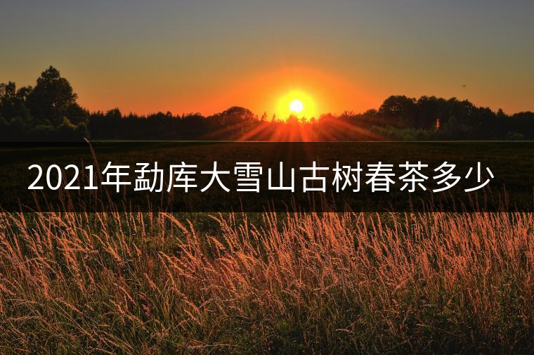 2021年勐庫大雪山古樹春茶多少錢一公斤？