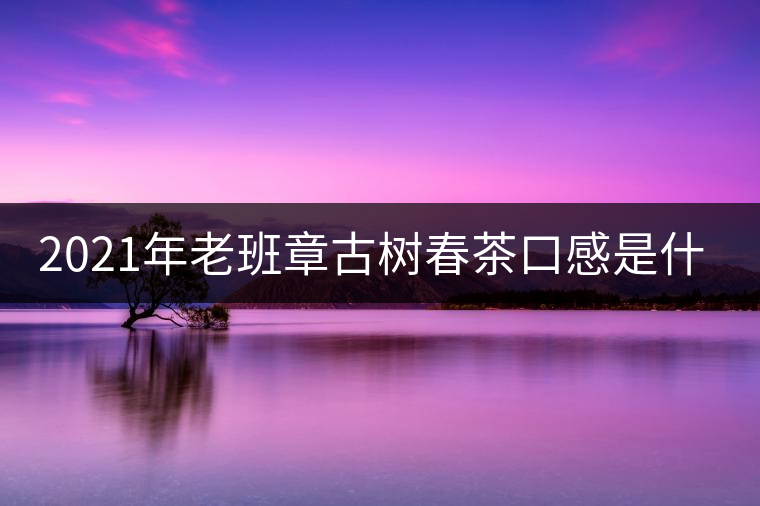 2021年老班章古樹春茶口感是什么？