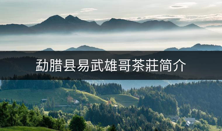 勐臘縣易武雄哥茶莊簡(jiǎn)介